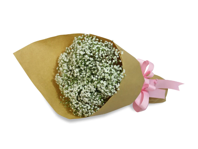 flowerbouquet-babys-breath-brown-paper-wrapper-and-pink-ribbon-with-white-background-left