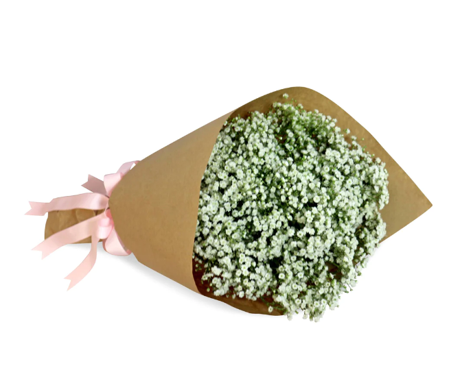 flowerbouquet-babys-breath-brown-paper-wrapper-and-pink-ribbon-with-white-background