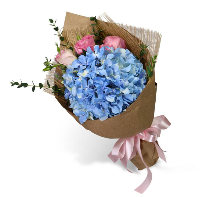 flowerbouquet-blue-hydrangea-pink-eustoma-mini-eucalyptus-brown-paper-wrapper-pink-ribbon-with-white-background