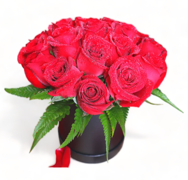 vase-red-super-roses-in-a-black-round-flora-box-against-white-backdrop