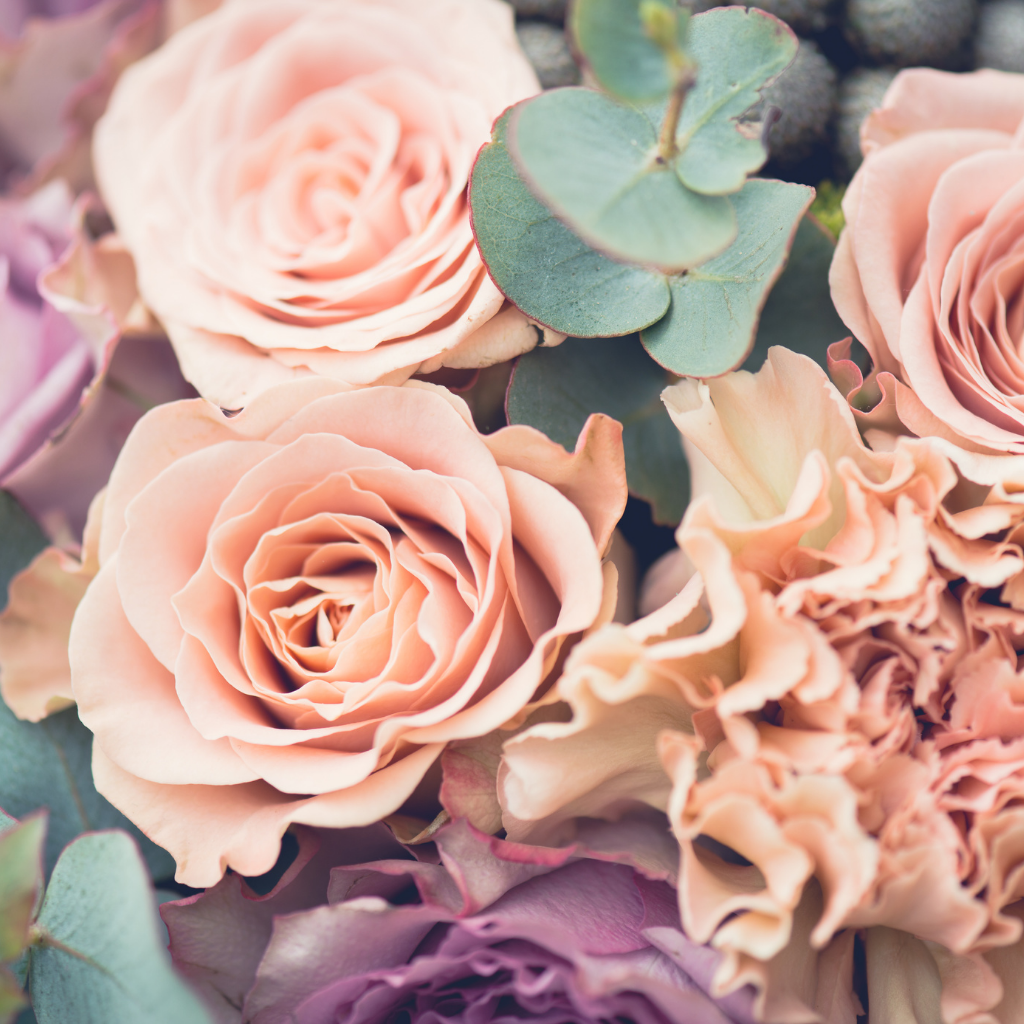 A colorful assortment of flowers