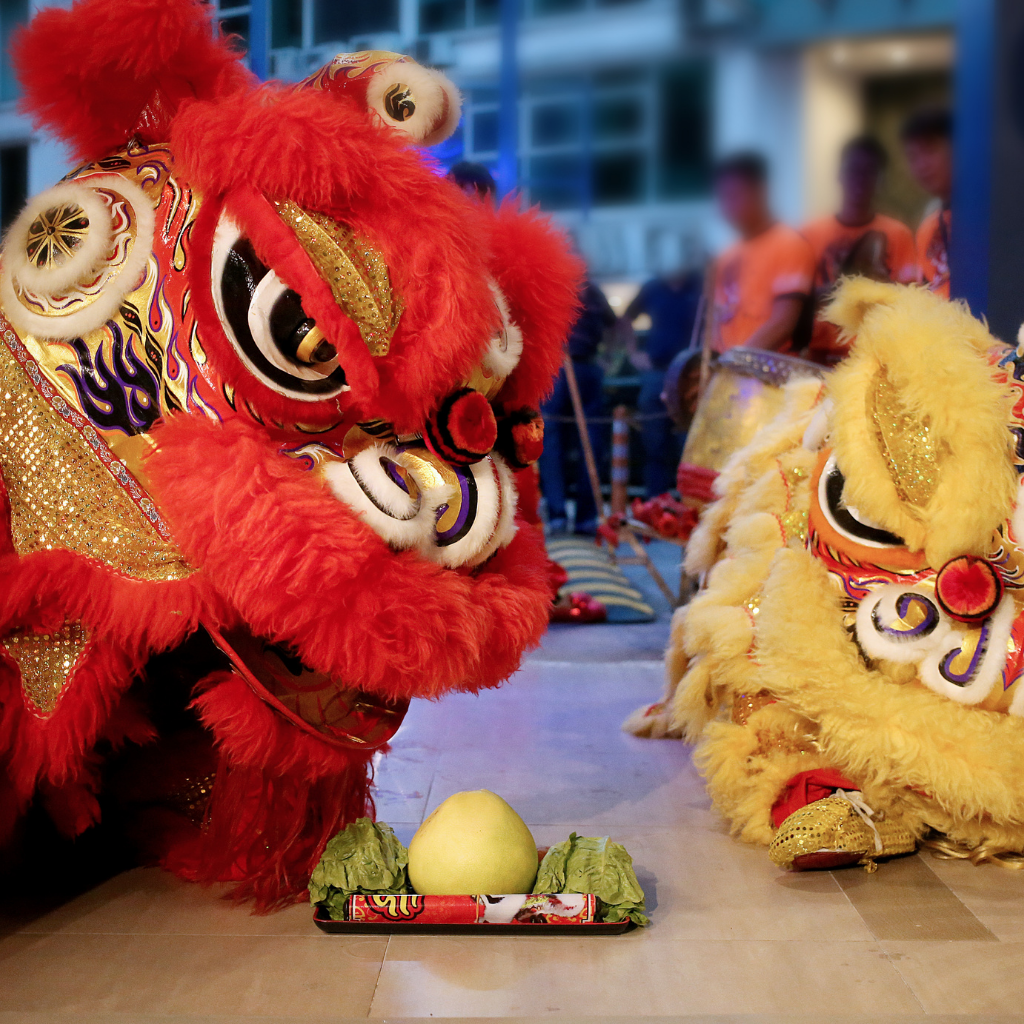 Lion dance performance with red and yellow costumes for new business and grand opening in singapore