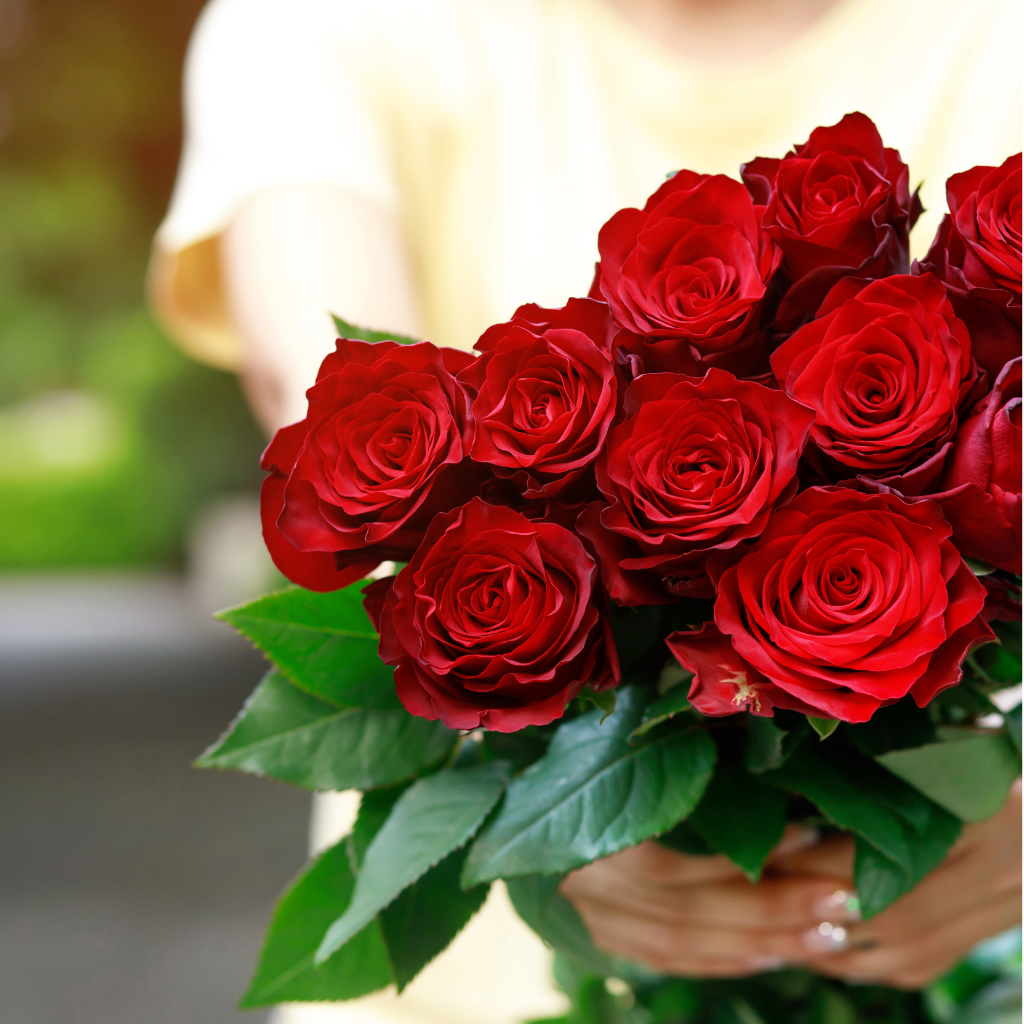 Person holding a bouquet of red roses, <$150 bouquets in Singapore