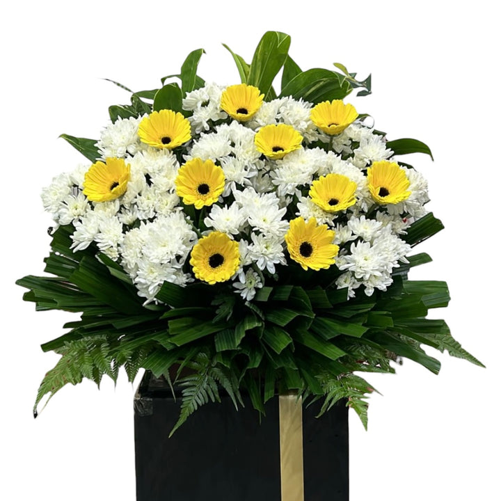 Rest Well  - Feb-2026