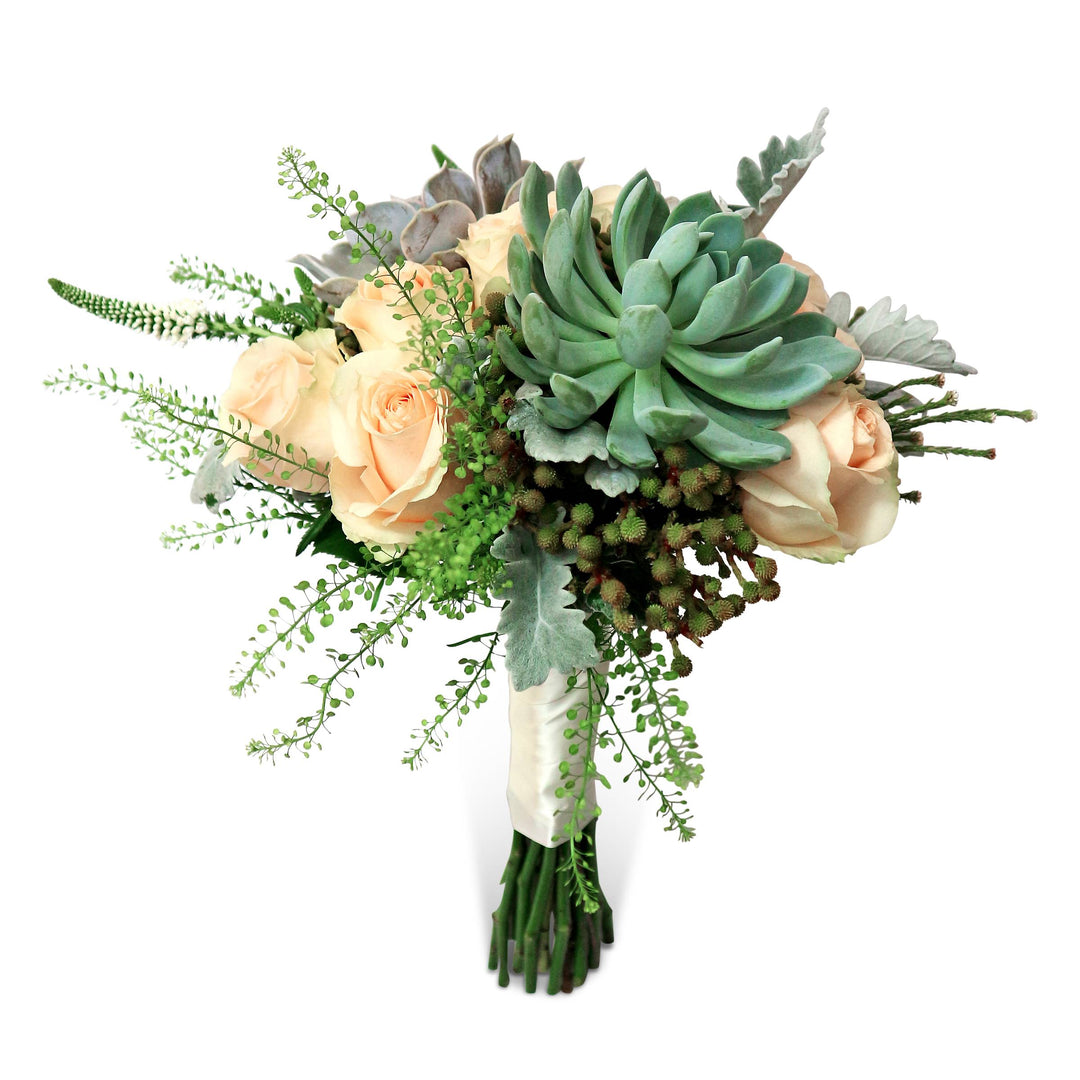 bridal-bouquet-succulents-champagne-roses-stem-wrapped-with-cream-ribbon-with-white-background