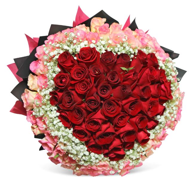 bouquet-red-roses-baby_s-breath-pink-roses-vision2