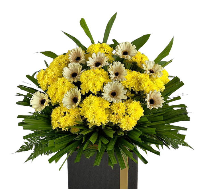 Rest Well  - Feb-2026