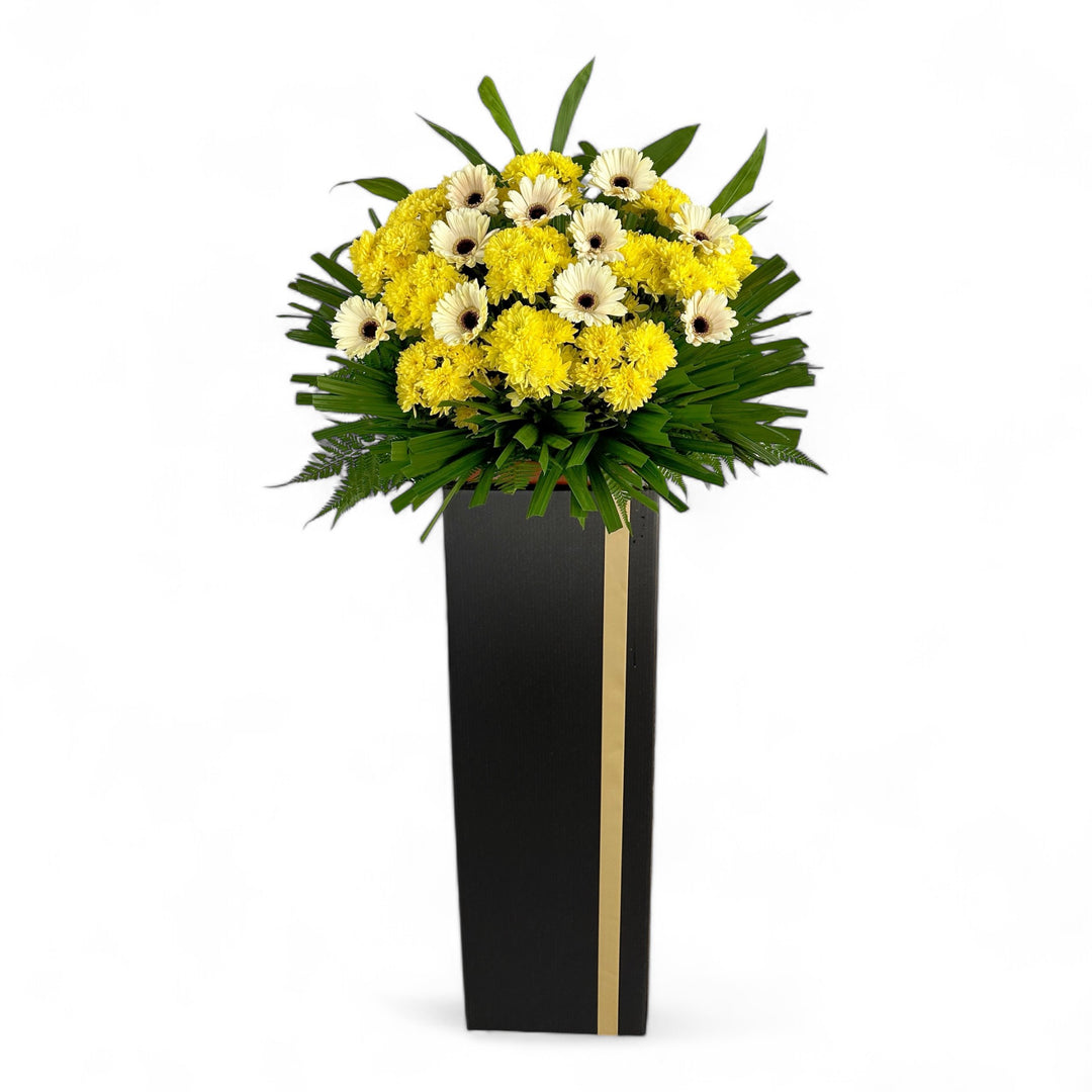 Rest Well  - Feb-2026