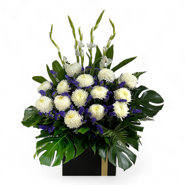 Remembrance - Feb-26