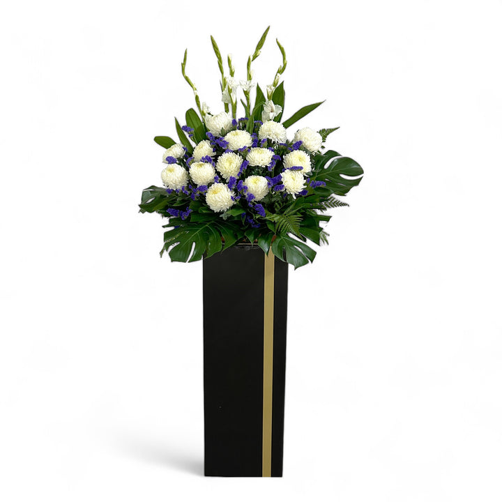 Remembrance - Feb-26