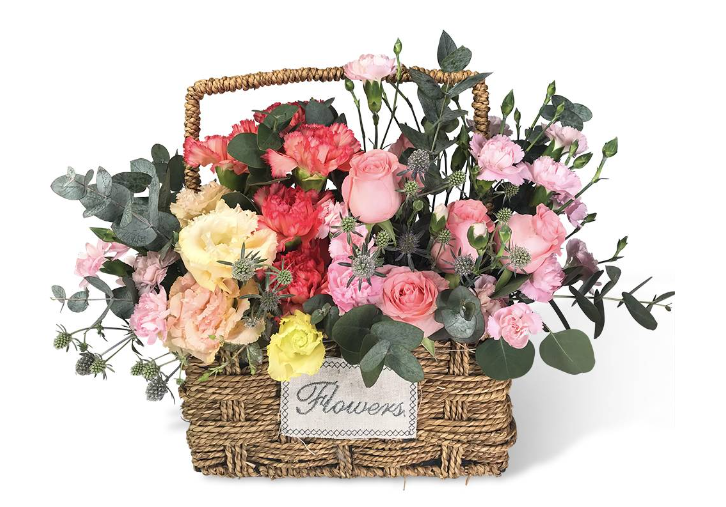 florabasket-carnations-pink-roses-champagne-eucalyptus-mini-eryngium-with-white-background