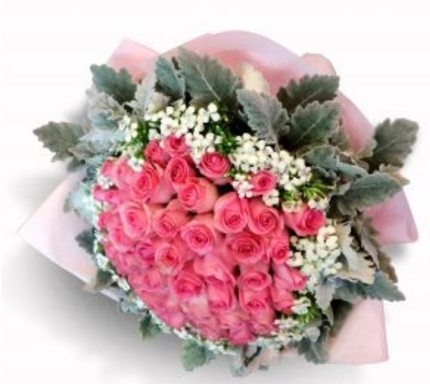 flowerbouquet-pinkrose-sweetwilliam-silverleaf-pink-wrapper-with-white-background-zoomed
