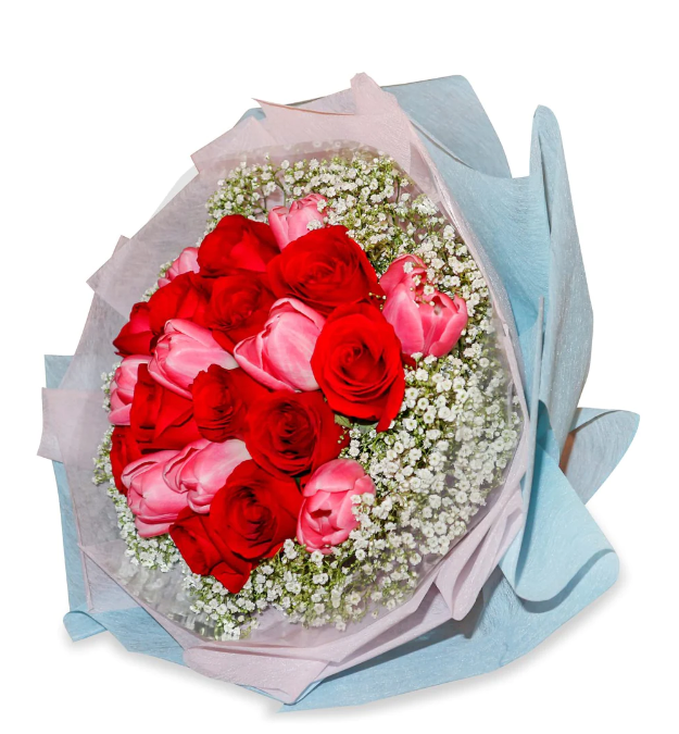 flowerbouquet-redroses-pinktulips-babys-breath-blue-and-pink-wrapper-with-white-background
