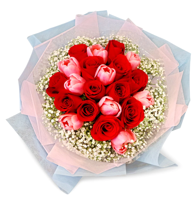 flowerbouquet-redroses-pinktulips-babys-breath-blue-and-pink-wrapper-with-white-background-zoomed