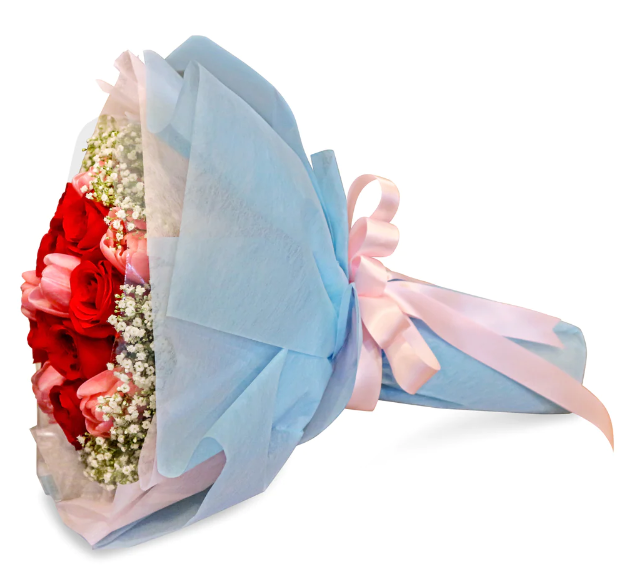 flowerbouquet-redroses-pinktulips-babys-breath-blue-and-pink-wrapper-with-white-background-side