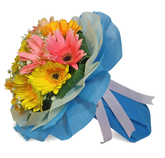 flowerbouquet-yellow-pink-orange-gerberas-babys-breath-blue-wrapper-with-white-background-side