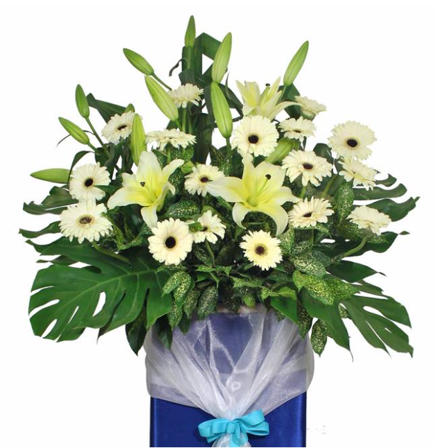 flowerstand-cream-coloured-gerbera-and-cream-lily-with-white-background-zoomed