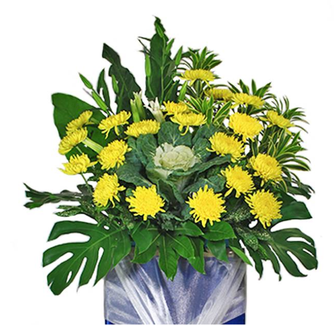 flowerstand-gladiolus-brassica-chrysanthemums-song-of-India-Leaf-with-white-background-zoomed