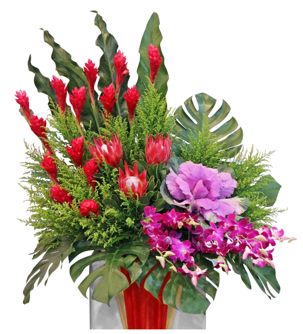 flowerstand-red-ginger-purple-brassica-protea-and-purple-orchid-with-white-background-zoomed