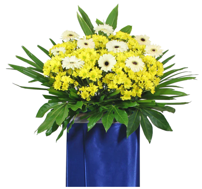 flowerstand-white-gerbera-mini-yellow-chrysanthemums-with-white-backgroundflowerstand-white-gerbera-mini-yellow-chrysanthemums-with-white-background-zoomed