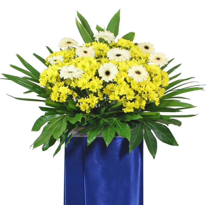 flowerstand-white-gerbera-mini-yellow-chrysanthemums-with-white-background-zoomed
