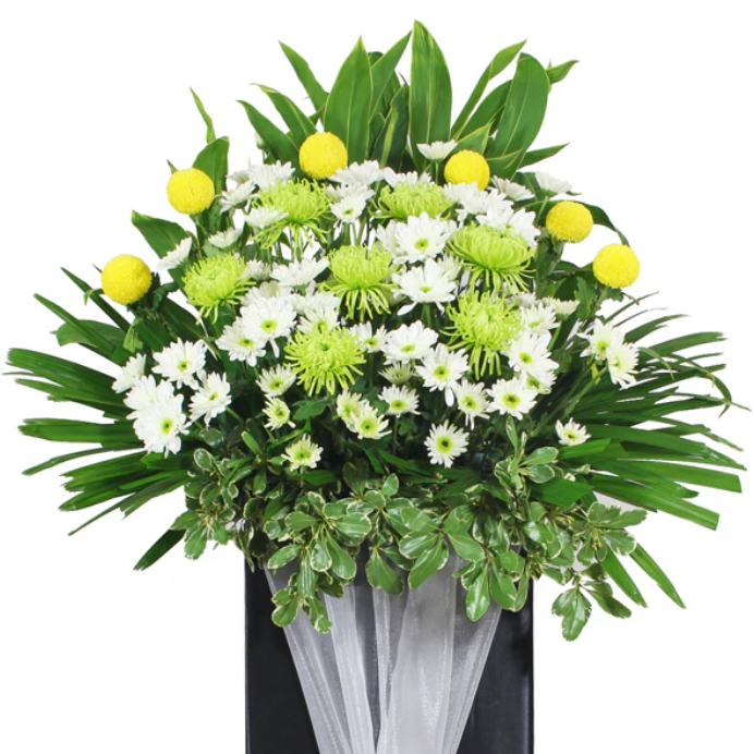 flowerstand-yellow-marble-mini-white-chrysanthemum-with-white-background-zoomed